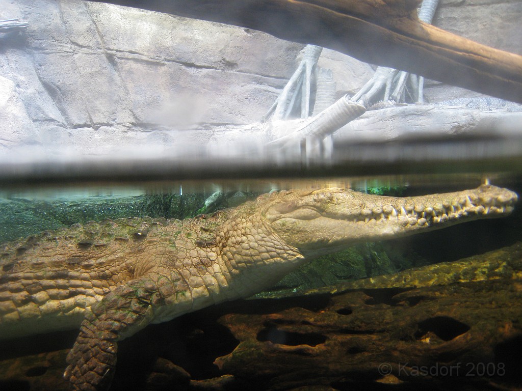 Baltimore MD 2009 2030.jpg - A 4th of July trip to Washington DC in 2009 included a stop in Baltimore MD to see the National Aquarium.